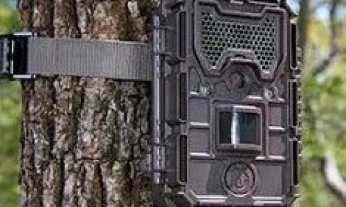 cyanowater-medioambiente-sobre-nosotros-maquina-negra-en-arbol