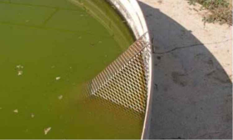 cyanowater-medioambiente-sobre-nosotros-rampa-metal