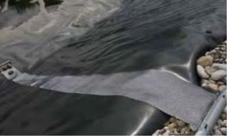 cyanowater-medioambiente-sobre-nosotros-rampa